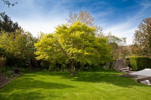 Garden- click for photo gallery